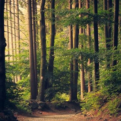 爱游戏app手机app下载