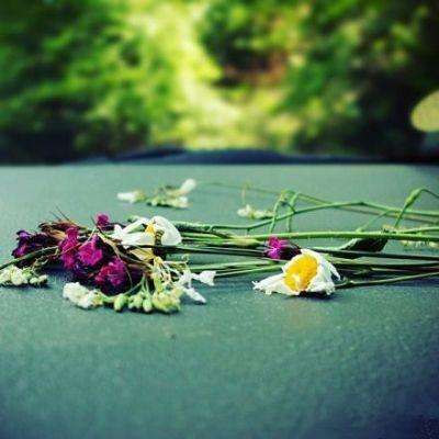 一分钟彩票极速赛车